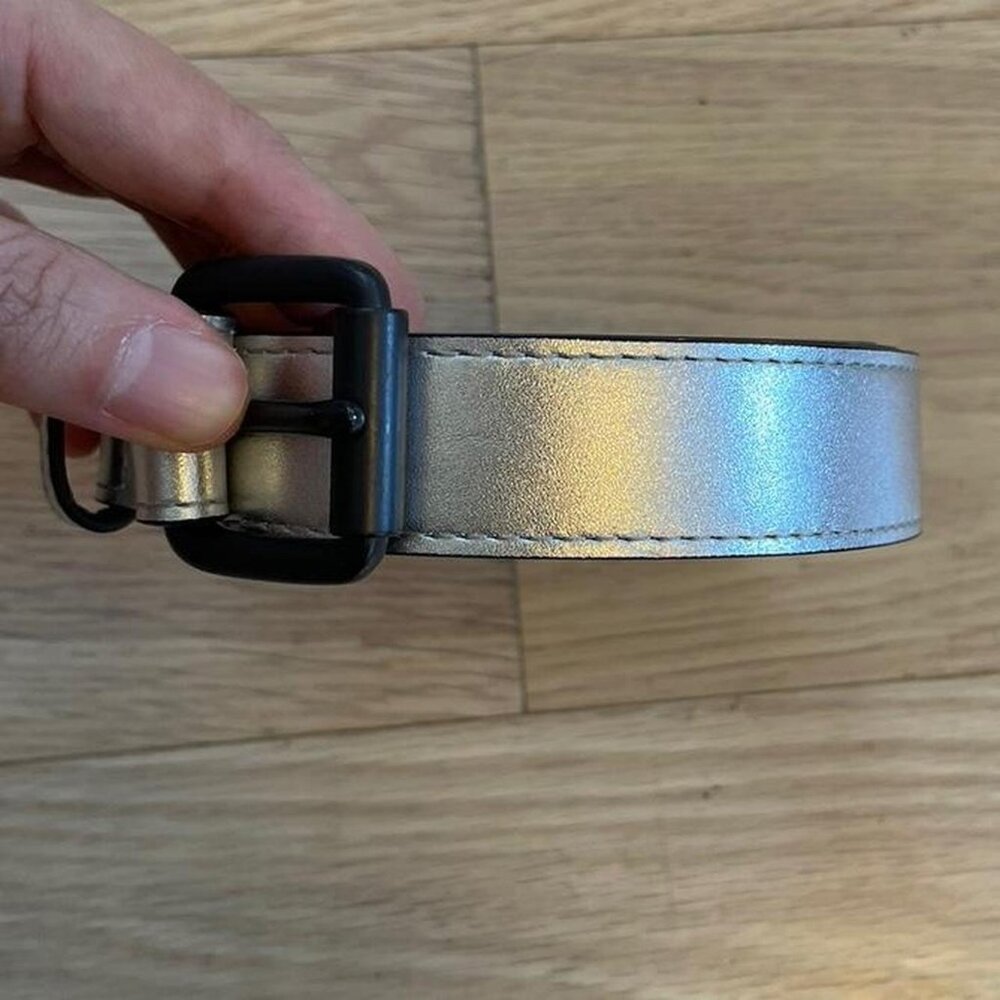 Silver belt from Aritzia